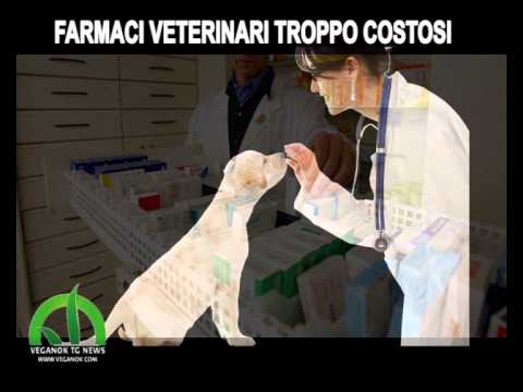 Trattamento di rozatsea pigmentary posti Il correttore di bozze da pigmentary nota su risposte di faccia