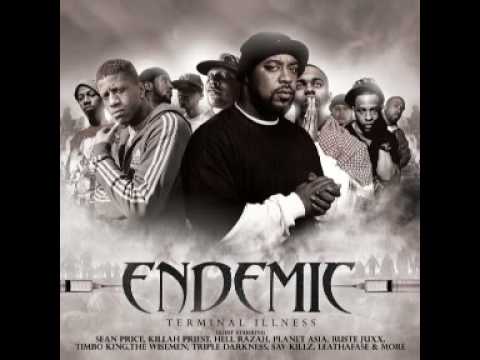 Endemic feat. Timbo King & Planet Asia - Robin Hood Theory
