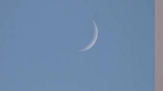 Mark Knopfler,  Let It All Go, Berlin 2007, Official Live