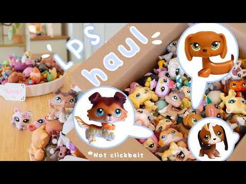 UNBOXING A HUGE LPS HAUL (110+ Old LPS!)
