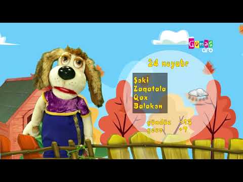 "Hava necə olacaq?" - 24 noyabr 2024-cü il