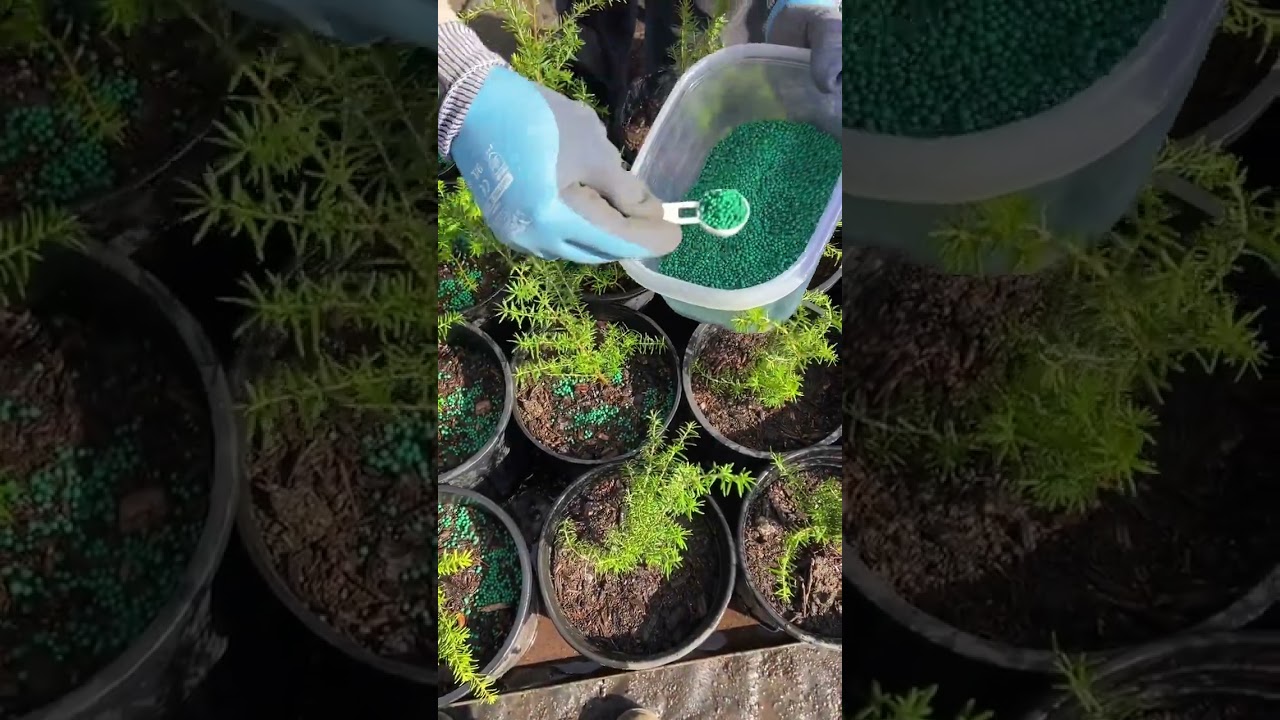 Interns and volunteers share why they join NSEA