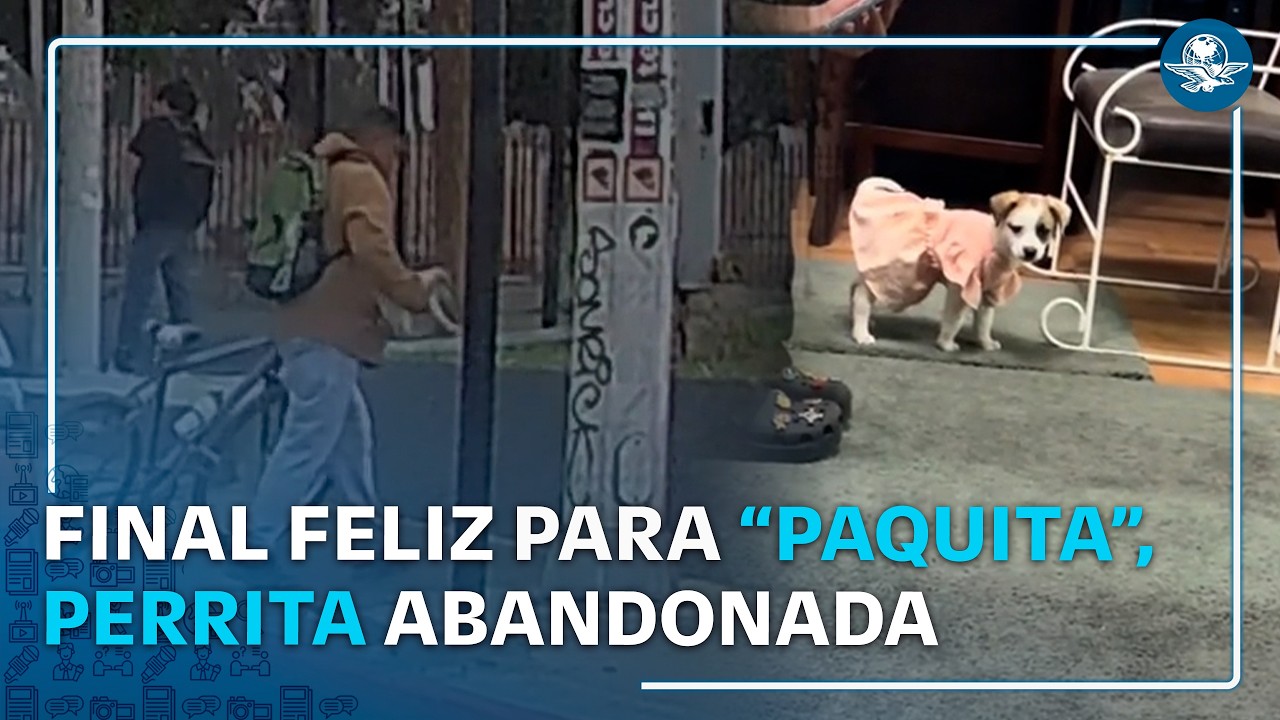 Abandonan a perrito en plena calle de Tijuana y una pareja lo rescata