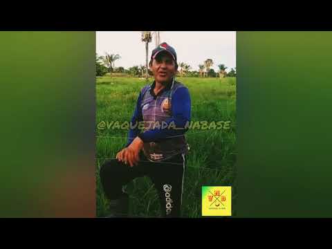 😱 CABELUDO DESAFIOU O BOI BANDIDO DE AERTON💥