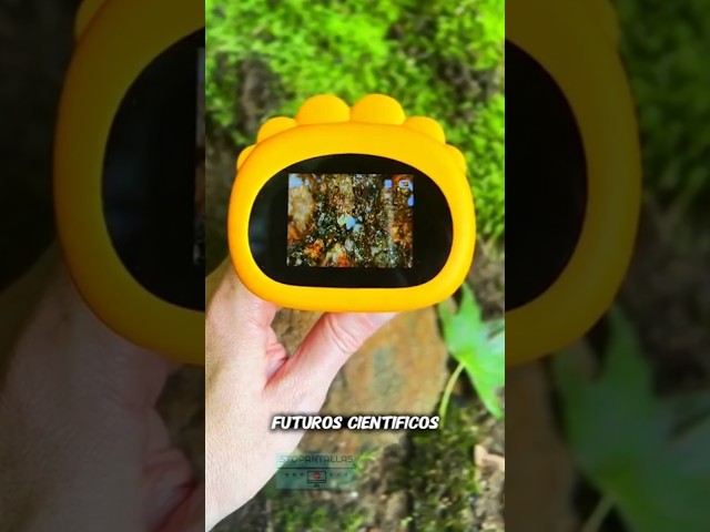 Vídeo relacionado con Microscopio digital Lupa de mano Pantalla IPS de 2 pulgadas 8 luces LED Enfoque manual Foto Video Grabación para experimento científico