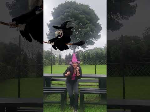 Celebra #halloween en #elgallorosa con #elmejorpollofrito #chiriqui #panama #bugaba