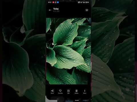 Backpaper - HD, 4k Wallpapers