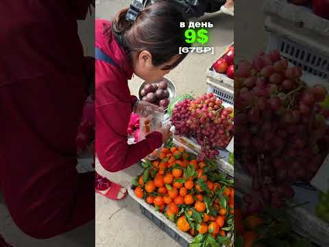Сколько стоит день во Вьетнаме?