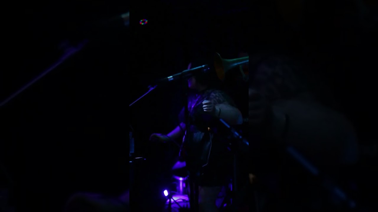 Promotional video thumbnail 4 for Los Gatos 512