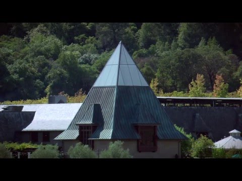 Pitagora - Francis Ford Coppola Winery