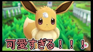 イーブイ可愛すぎるので永遠と撫でた結果www【ポケモン・Let's Go! イーブイ＃１】出会い～ライバル戦