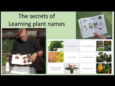The secrets of how to remember plant names.