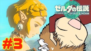 【初見攻略】とにかく楽しむ!! 途中でやめない!!　#3【ゼルダの伝説 ティアーズ オブ ザ キングダム】