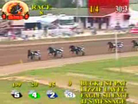 Bucki, Delaware, Ohio, 2005/9/19