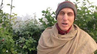 January 17 : HG Mahatma Prabhu speaks on "Forgiveness is not Logical "