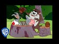 Looney Tunes Taz S Meal Classic Cartoon WB Kids