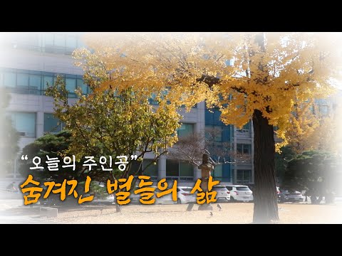 오늘의 주인공, 숨겨진 별들의 삶 [동국의 숨겨진 별들 ep.4]