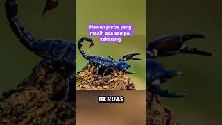 Download lagu Unique Facts about Scorpions, ancient animals that still exist today, older than dinosaurs mp3 Download lagu Unique Facts about Scorpions, ancient animals that still exist today, older than dinosaurs mp3