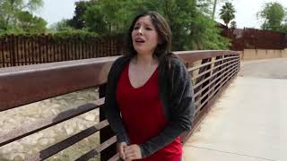 ROBERTO CARLOS  SINTO MUITO MINHA AMIGA 1977