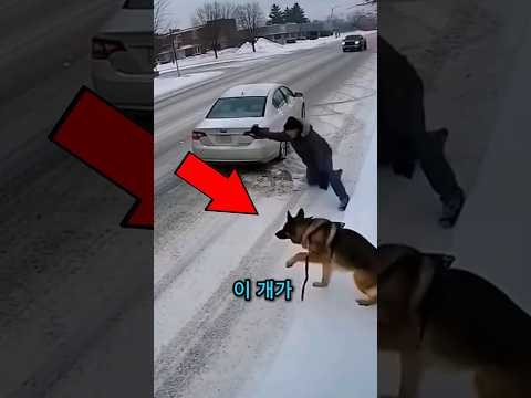 그가 왜 공격했는지 알게 되면 깜짝 놀랄 거예요 😳