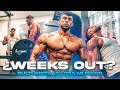 CULTURISTA valora mi fisico + entreno ESPALDA @Ian Eriksson | Mauro Fialho IFBB PRO