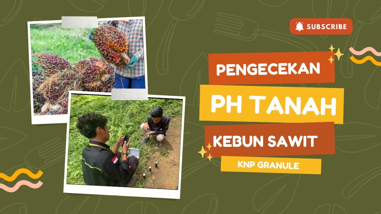 Pengecekan pH Tanah