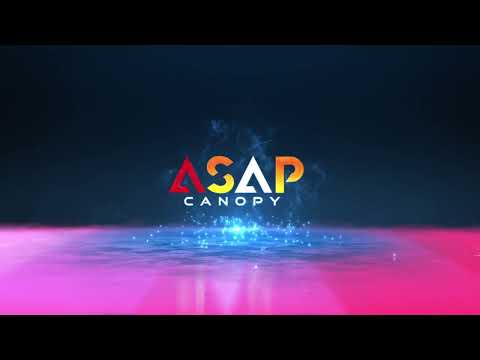 Inflatable Canopy Tent：26x26ft Custom Inflatable Tent