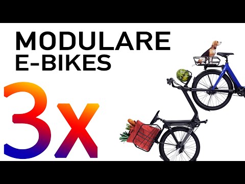 Modulare E-Bikes Muto, Modmo vs Ahooga