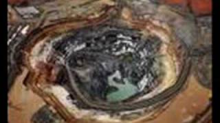 Aus Rotten - Civilized Bloodbath