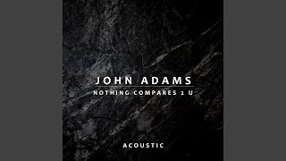 Musik-Video-Miniaturansicht zu Nothing Compares 2 U Songtext von John Adams (folk)