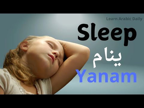 Learn ARABIC : Basic ARABIC words for Everyday Life |Basic ARABIC Vocabulary | English - Arabic