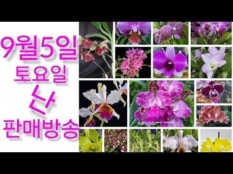 상품 소개 영상