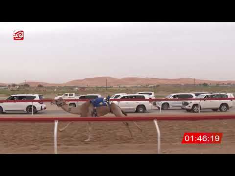  ش 4 (مسكت) لـ سعيد محمد بن قعرور 2:10 , شارة الصندوق 2026/04/11 فطامين الساد