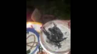 Download lagu santau ritual mp3