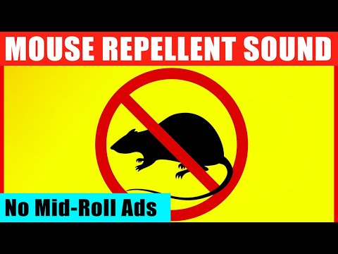 Mouse & Rat Ultrasonic Deterrent 🔴 12 Hours of Anti-Rat Repellent Sounds (Guaranteed to Scare Mice)