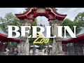 Unforgettable Berlin Zoo Experience