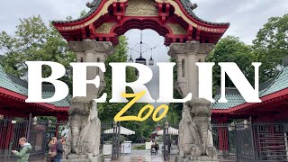 Unforgettable Berlin Zoo Experience