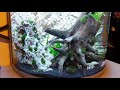 AQUASCAPING In A Small Tank