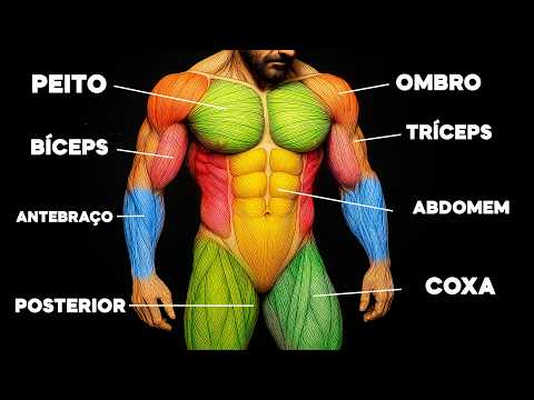 O ÚNICO Exercício que você Precisa Para Cada Músculo!