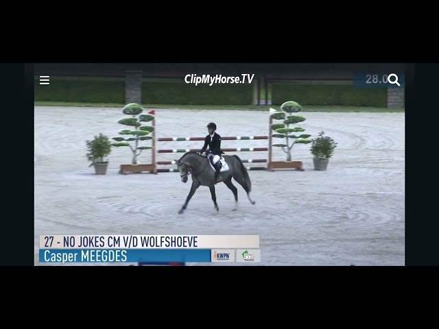 Half-brother No Jokes CM v/d Wolfshoeve finalist Blom Cup 4 years old and destignated for the KWPN performance stallion test.