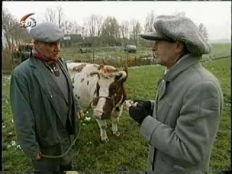 herman brood kwajongen 1999