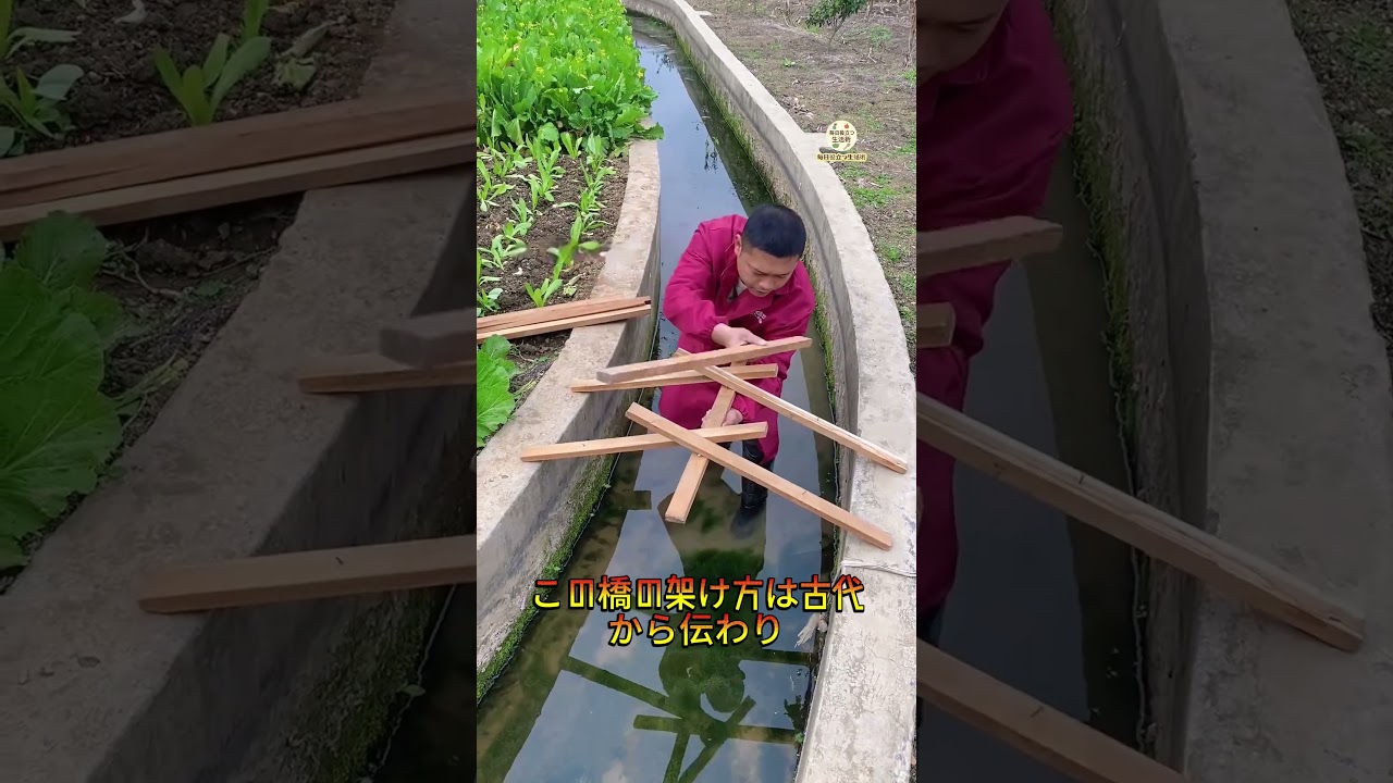 【古代人の知恵橋】橋脚・釘不要、木9本で強靭橋完成～  #裏ワザ #古代人の技