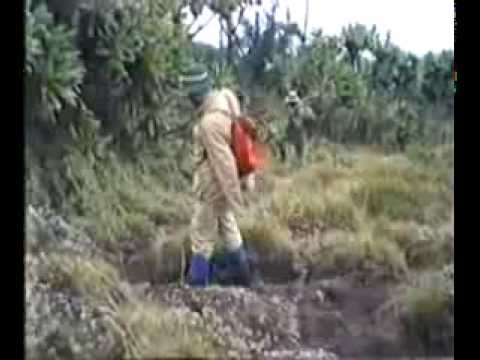 Forts. 2 RUANDA mit RUCKSACK+Rangern a. d. VISOKE 1991/92-07