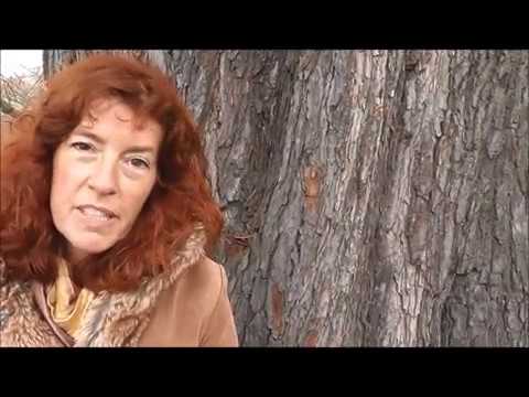 Waschen mit Rosskastanien