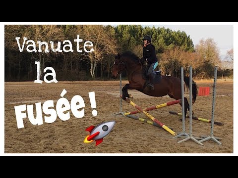 CS'o Landreau - Saut d’obstacles - 12/12/18 -