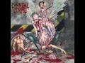 Sickening Metamorphosis - Cannibal Corpse