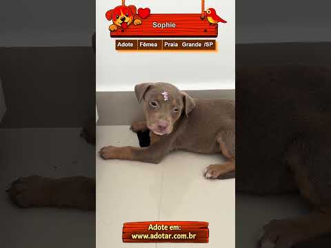 Vídeo de Sophie