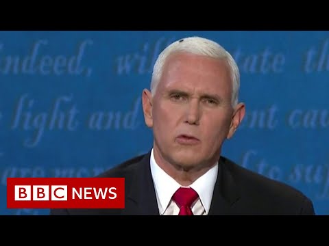 2020年の米選挙。フライが副大統領討論会でショーを盗む - BBCニュース (US election 2020: Fly steals the show at vice-presidential debate - BBC News)