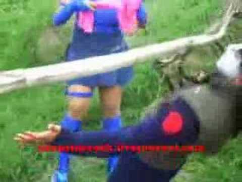 Insane Cosplay 2 : Resumen