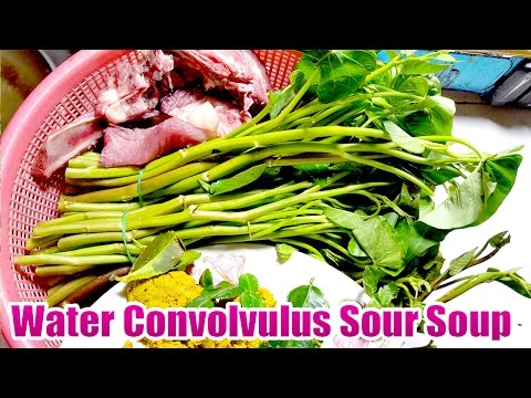 Asian Khmer Cooking food dinner recipes, Water Convolvulus Sour Soup